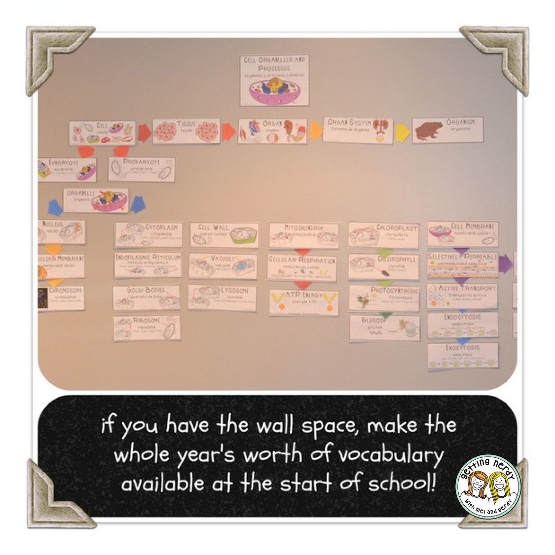 Visualizing Vocabulary Making Word Walls Accessible to All Students