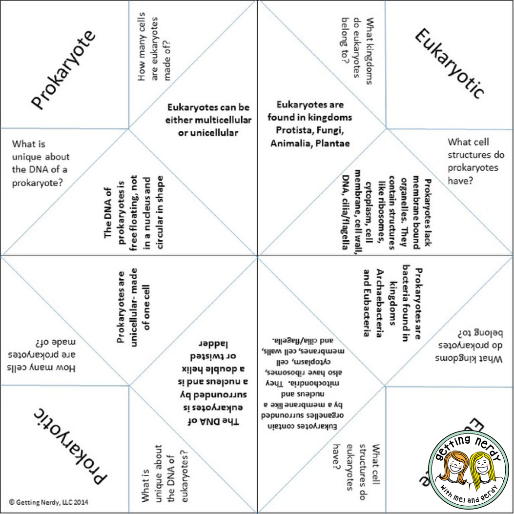 Station Rotation Lesson Plan Template