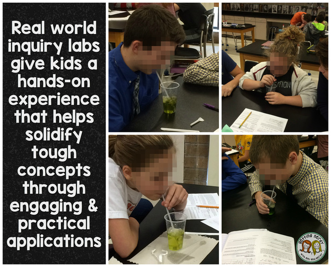 Teach cells & cellular processes in your life science or biology classroom!