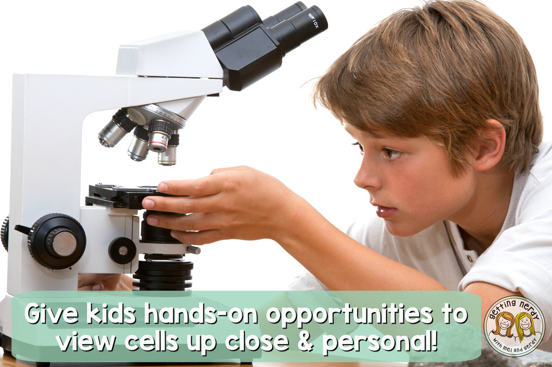 Teach cells & cellular processes in your life science or biology classroom!
