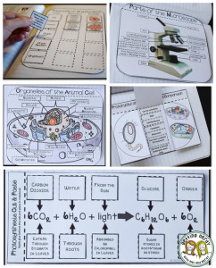 10 tips for teaching cells  cellular processes in science