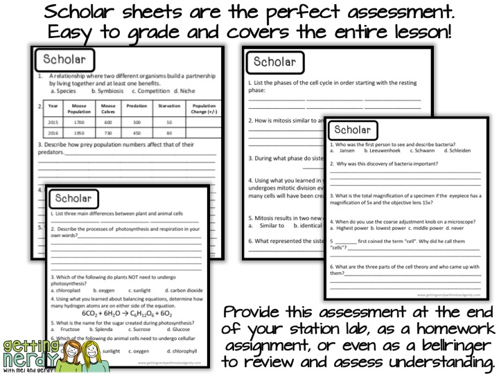 Grade lab stations easily with a scholar assessment sheet! 