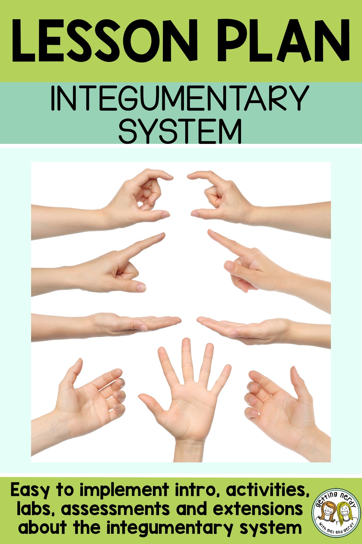 Integumentary System Activities Labs