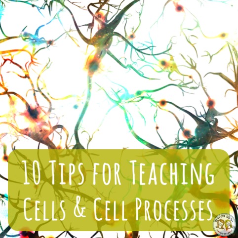 10 Tips for Teaching Cells