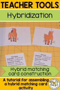 Hybridization and selective breeding lesson - how to construct a matching card activity #gettingnerdyscience #selectivebreeding #genetics