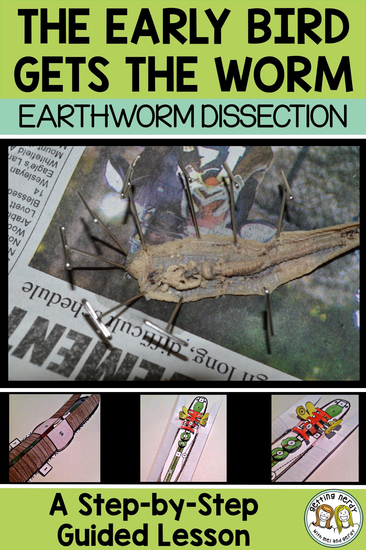 Lesson Plan: Earthworm Dissection for Secondary Grades - Getting