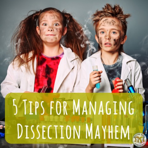 5 Tips for Managing Dissection in your Class