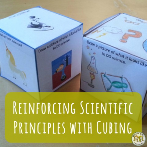 Lesson Plan: Reinforce Scientific Principles using this Cube Activity