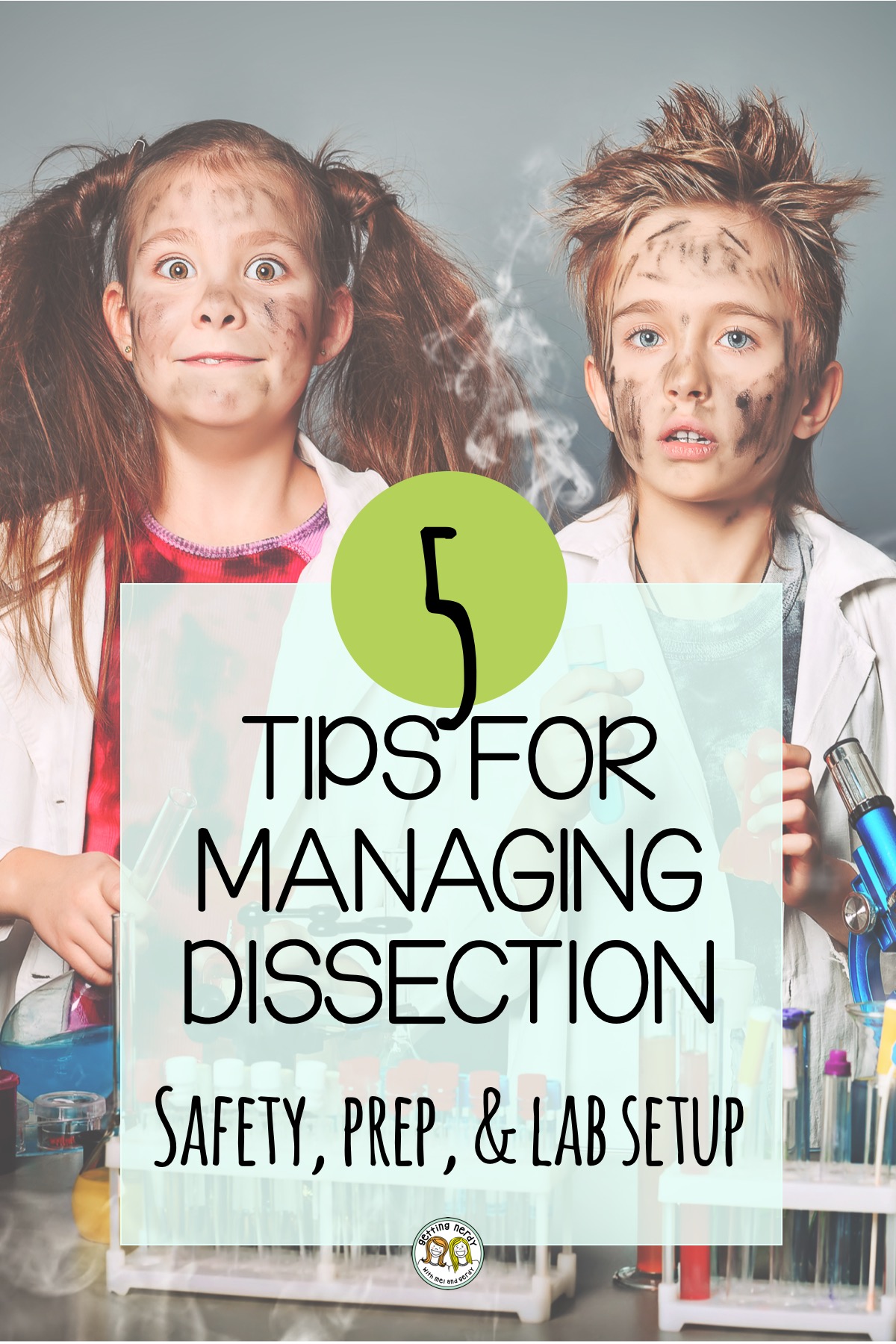5 Tips for Managing Dissection in your Class