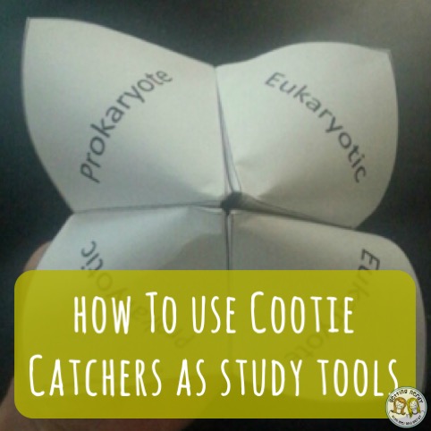 Teacher Tools: Fortune Tellers and Cootie Catchers as Study Tools