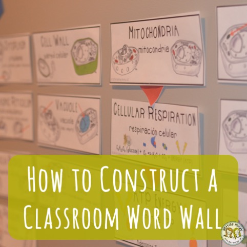 Teacher Tools: Word Wall Construction