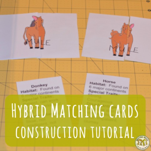 Lesson Plan: Hybrid Cards Assembly Tutorial