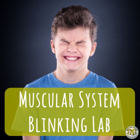 Lesson Plan: Muscular System Blinking Lab