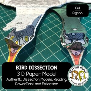 Our gull and pigeon paper dissections are perfect for bringing outdoor science learning into the classroom! 