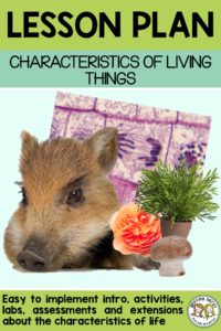 Easy to implement lesson ideas for teaching the characteristics of living things #gettingnerdy #characteristicsoflife #lifescience