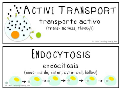 Our word wall have everything you need for your class - Getting Nerdy Science